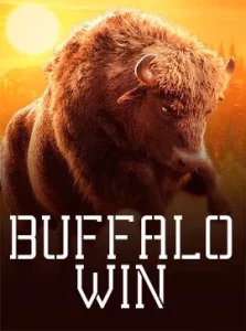 PGsoft_buffalo-win